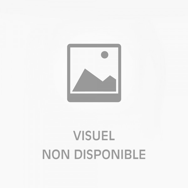 Zelda Breath of the wild